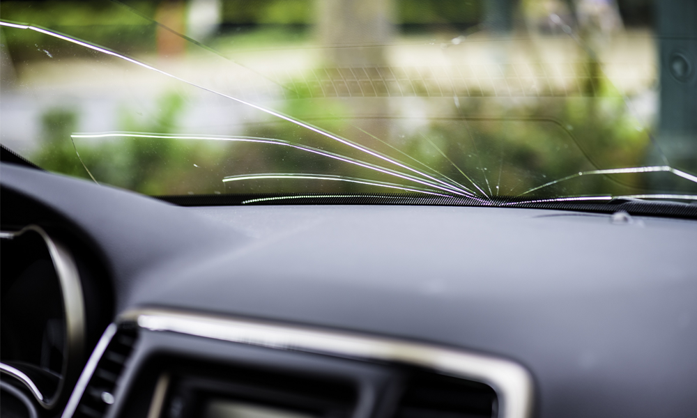 Windshield