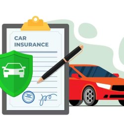 Cute dog wrapped in a blanket